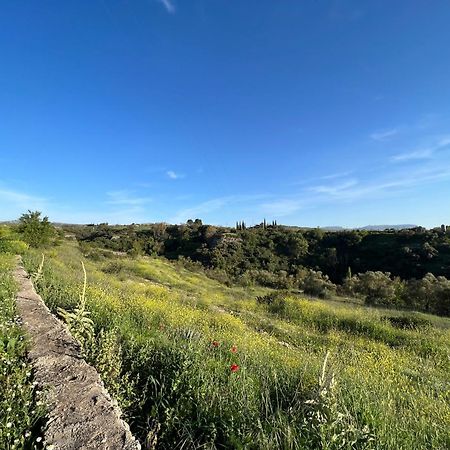 Villa Ignacia B&B - Naturaleza Entre Ronda Y Setenil Arriate Exteriér fotografie