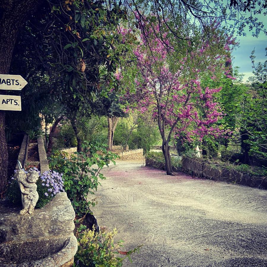 Villa Ignacia B&B - Naturaleza Entre Ronda Y Setenil Arriate Exteriér fotografie